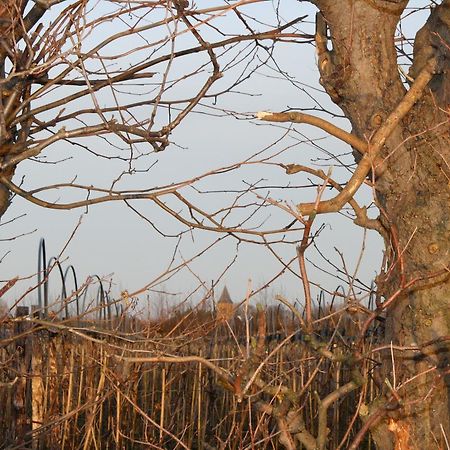 ホテルDe Betuwe Asch エクステリア 写真