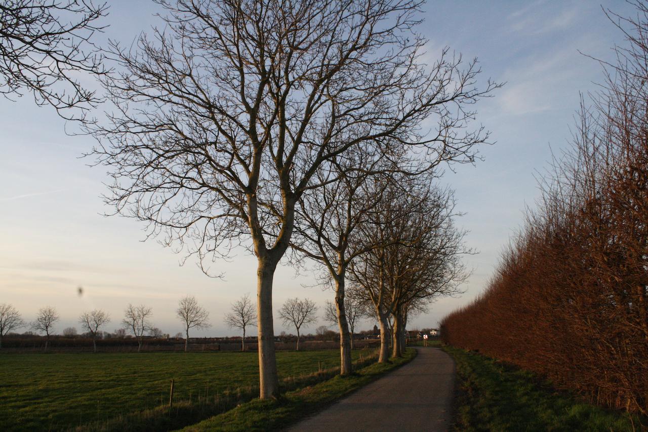 ホテルDe Betuwe Asch エクステリア 写真