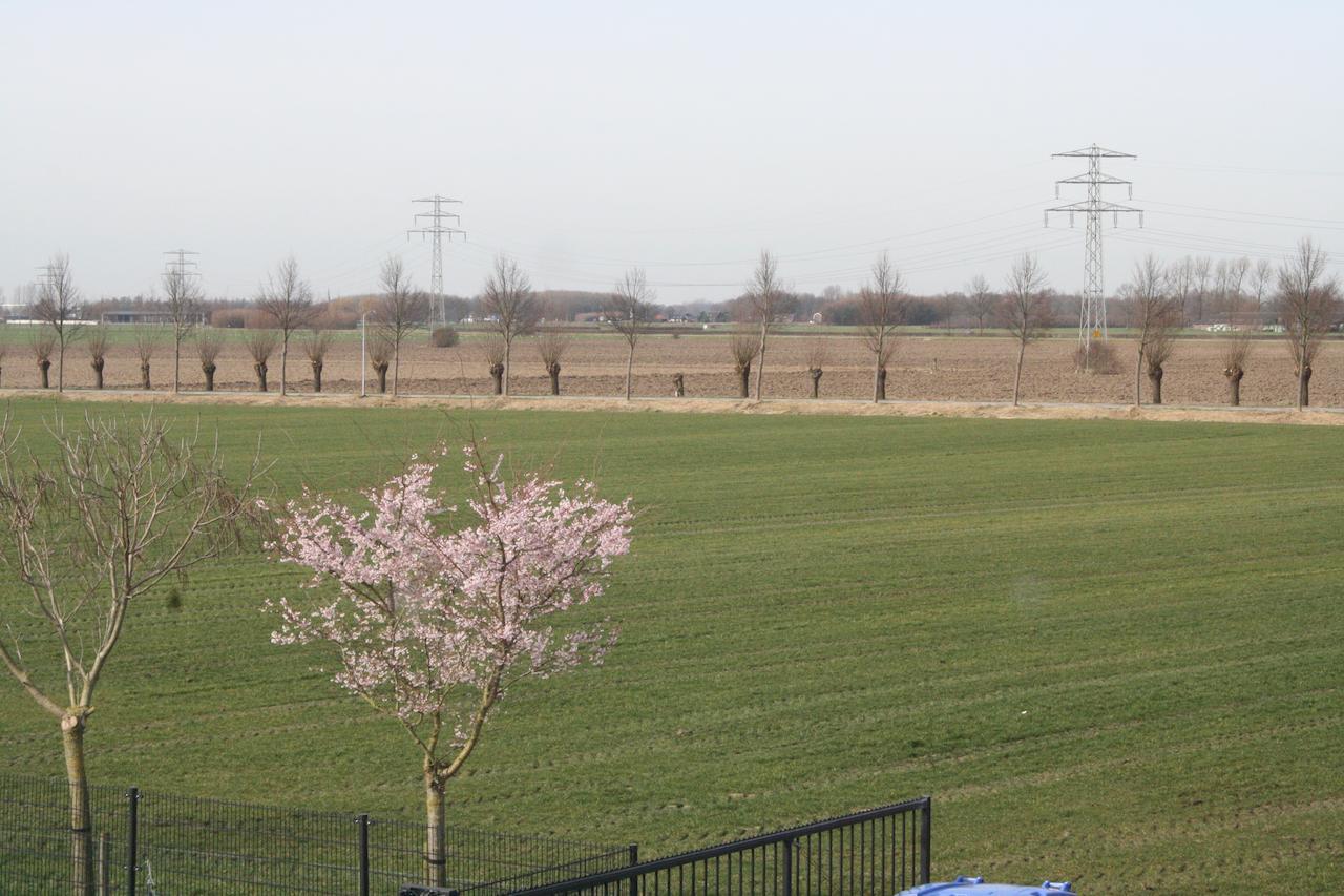 ホテルDe Betuwe Asch 部屋 写真